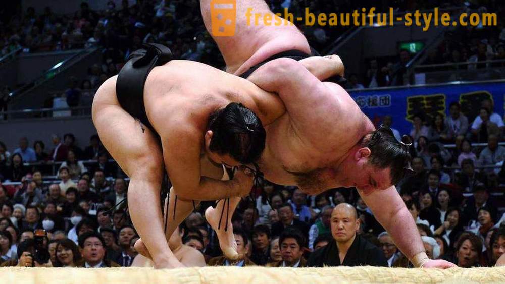 Sumo Wrestling: history, rules, techniques and features the most interesting facts