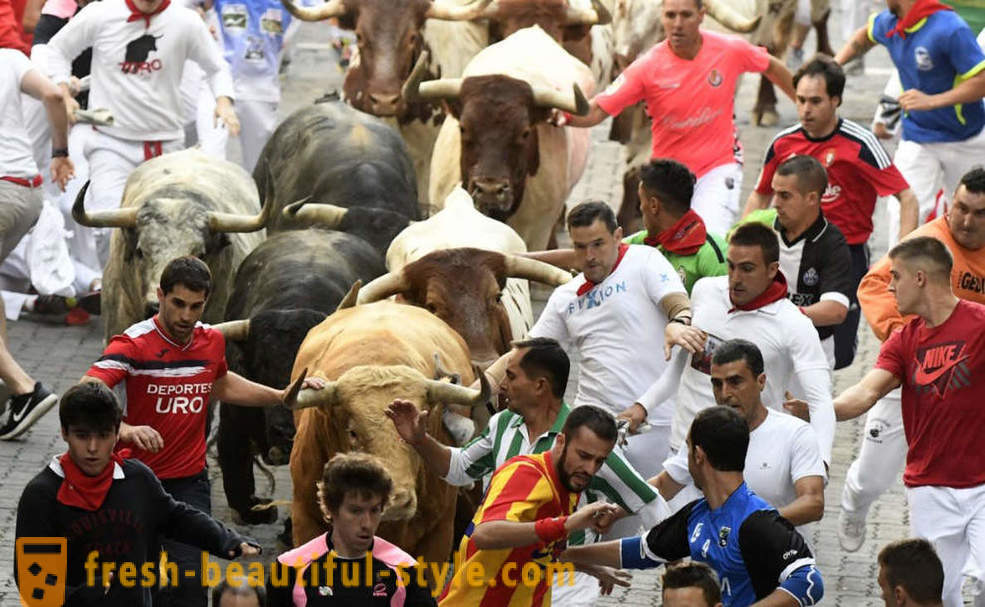 How was the annual running of the bulls in Pamplona, ​​Spain