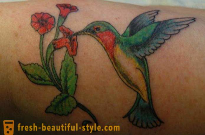 Hummingbird tattoo - a symbol of vitality and energy