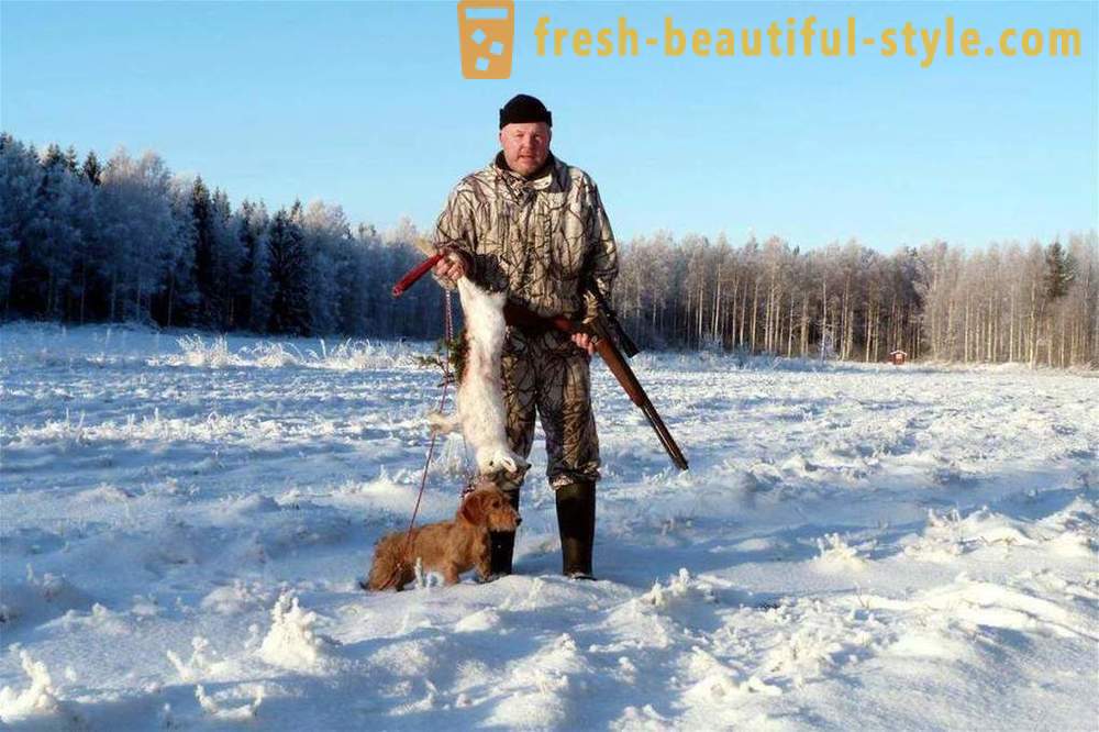 Winter hunting when the season opens, tips for beginners, especially equipment