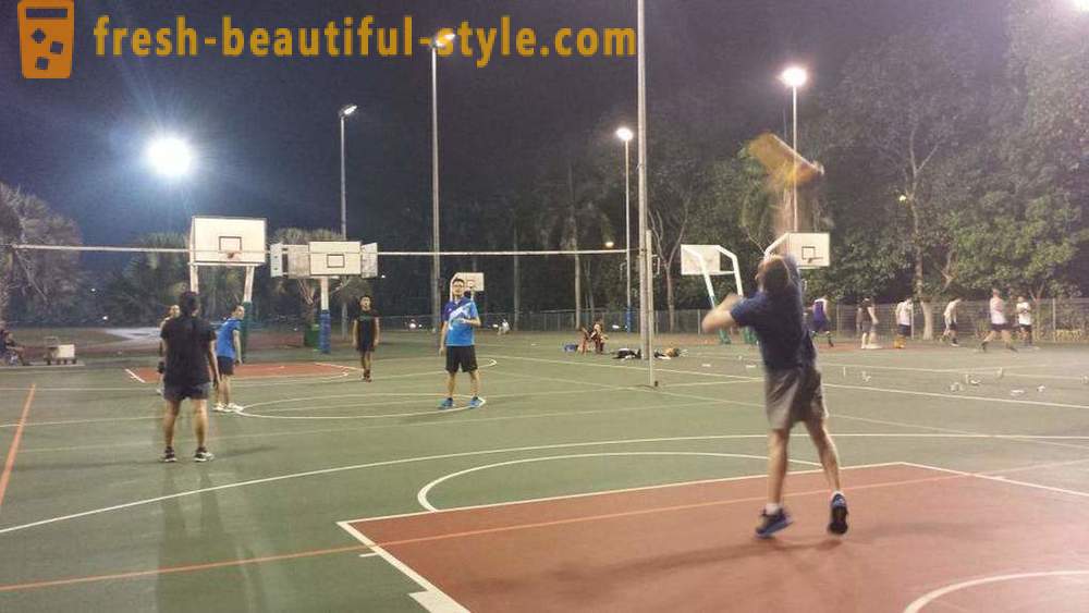 Basketball court: photos, sizes and features