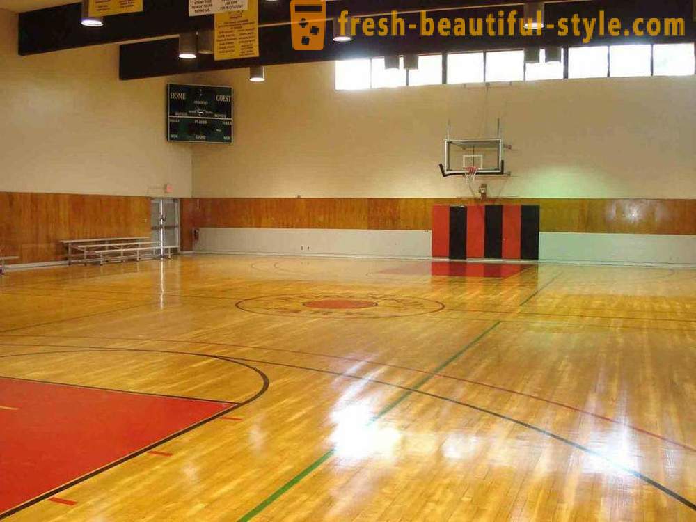 Basketball court: photos, sizes and features