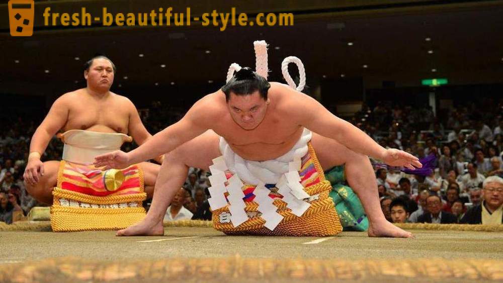 Sumo: fighters, law, engineering, history, interesting facts