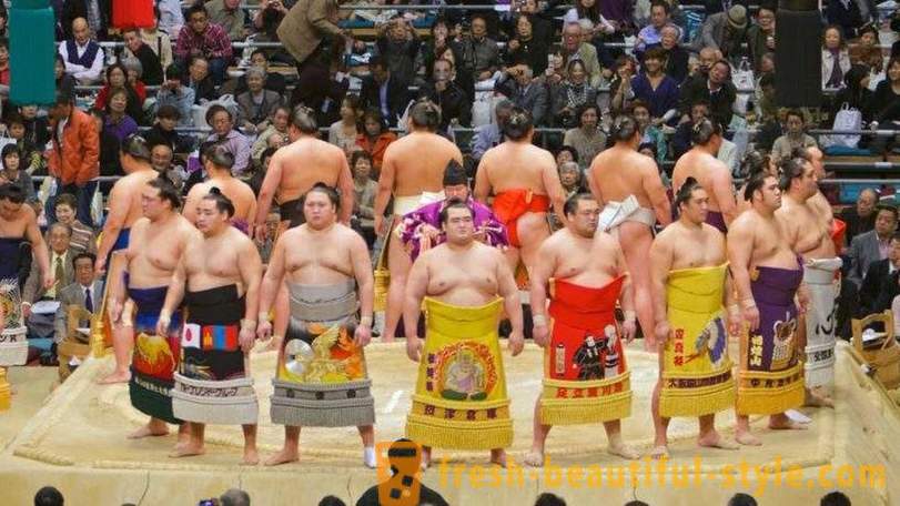 Sumo: fighters, law, engineering, history, interesting facts