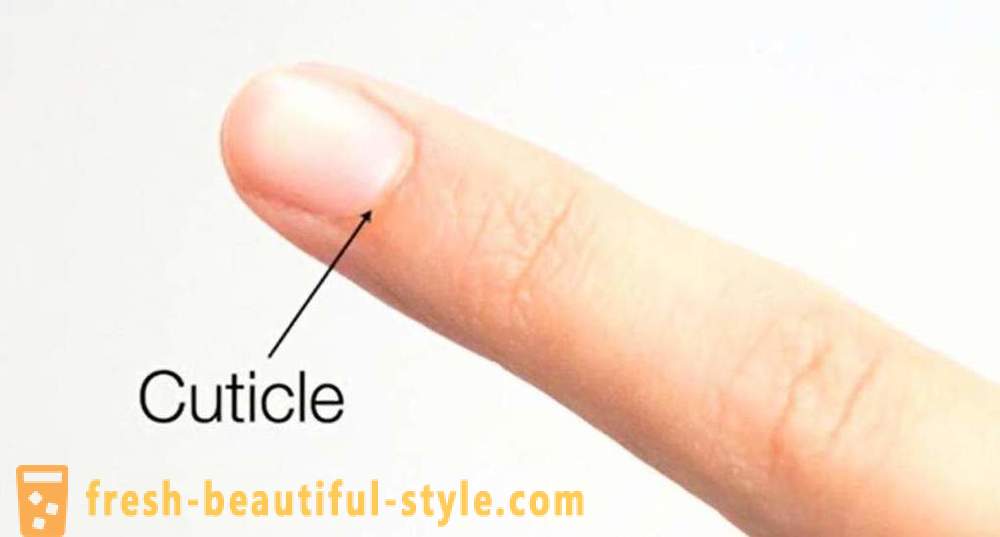 Remuver Cuticle: a method of using, reviews
