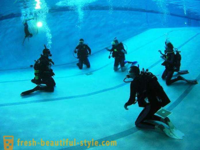 What is diving - description, features, equipment, skills and fun facts
