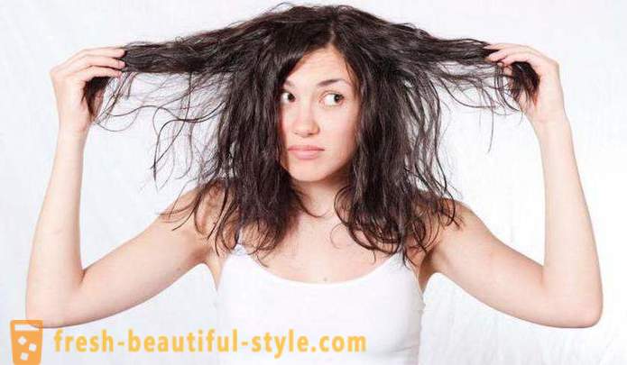 Effective shampoo for oily hair: reviews, types and manufacturers