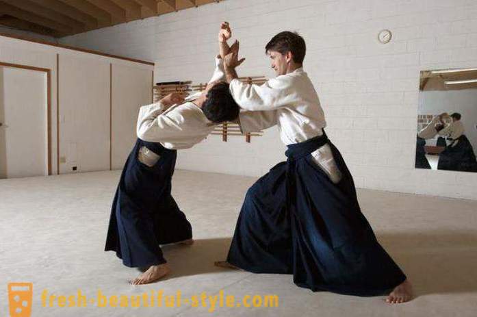 Japanese types of martial arts: the description, characteristics and interesting facts