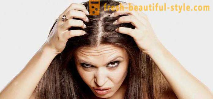 Why fast zhirneyut hair? Possible reasons, features and methods of treating
