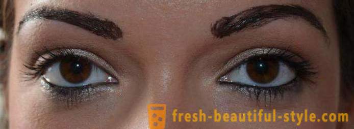 What is the best paint for the eyebrows: reviews of professionals, manufacturers and composition