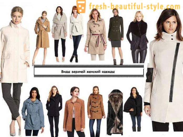 Types of clothing - a description of the best combinations and recommendations stylists