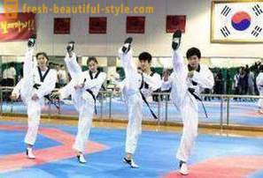 What is Taekwondo? Description and the rules of martial art