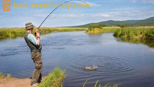 Free fishing in the suburbs - where to go? Free ponds in Moscow