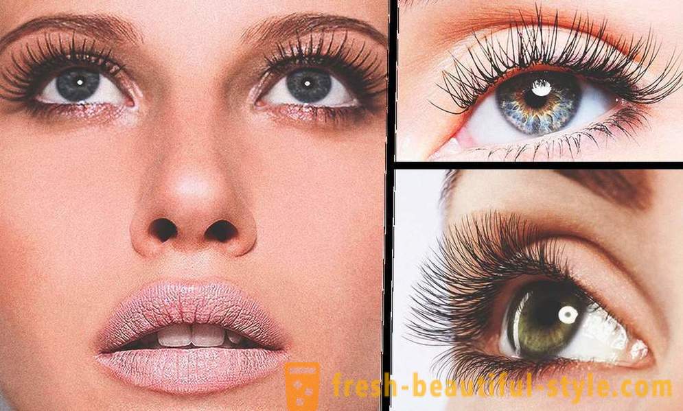 5 tips for the first eyelash
