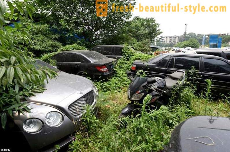 Chinese cemetery luxury cars