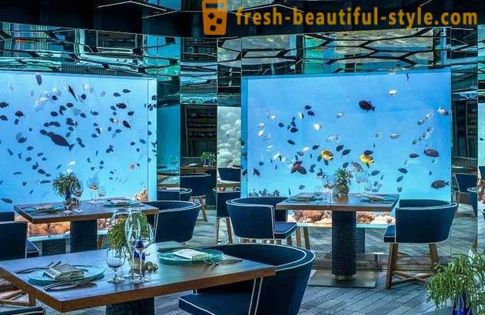 Luxury underwater restaurant in the Maldives