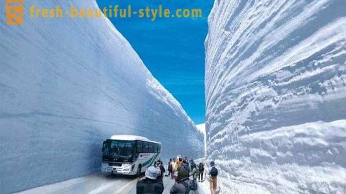 Amazing snow corridor in Japan