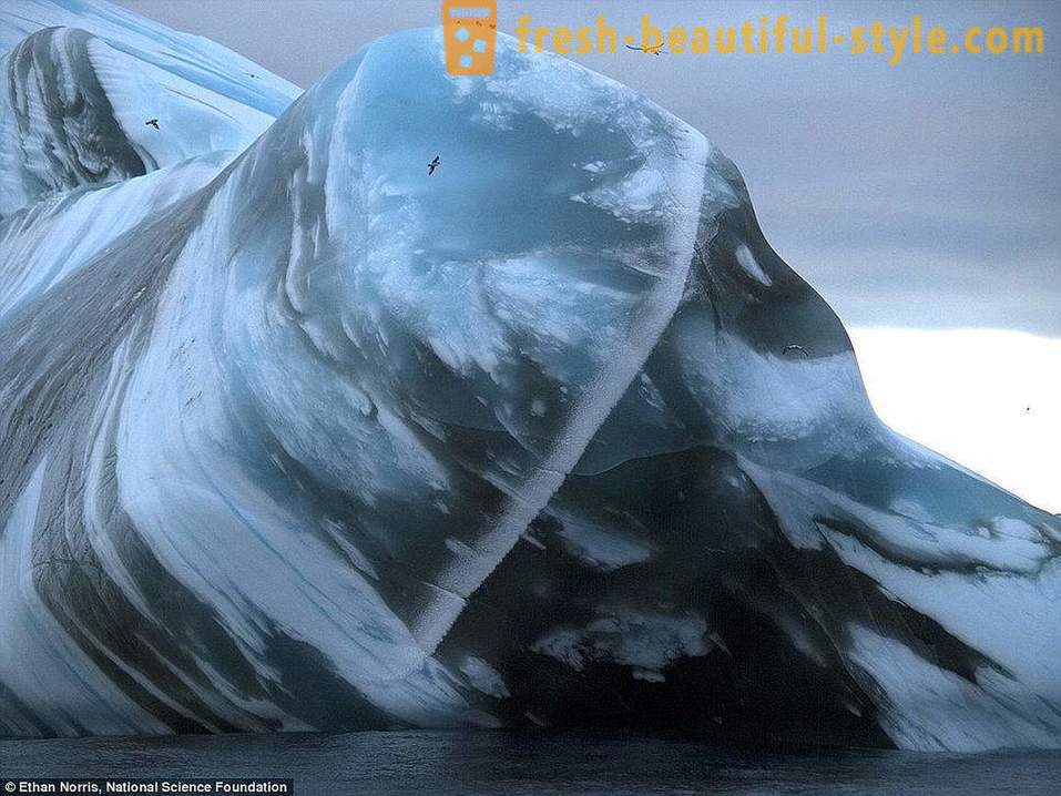 Camye the world's ancient icebergs
