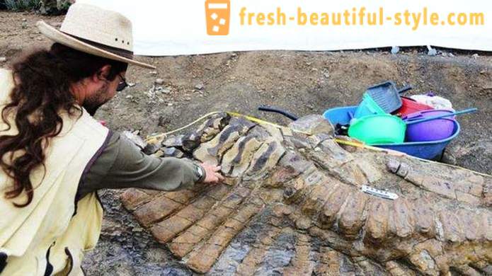 Unique findings associated with dinosaurs