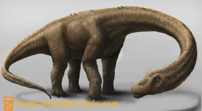 Unique findings associated with dinosaurs