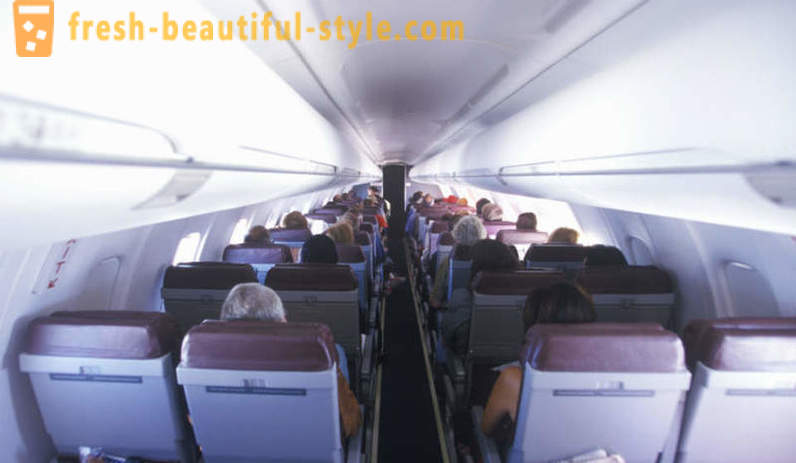 Revelation flight attendants on flights