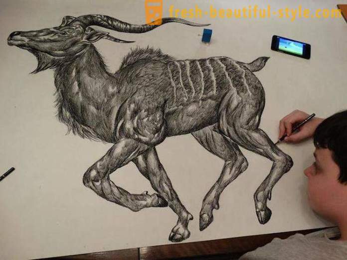 Serbian teenager draws stunning portraits of animals by means of a pencil or a ballpoint pen