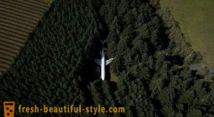 American, 15 years of living in an airplane in the middle of the forest