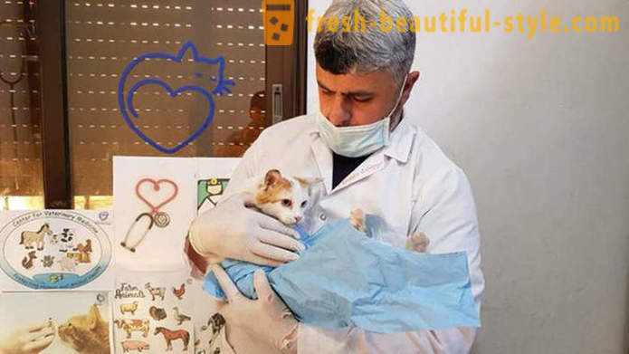 The man remained in the war-torn Aleppo to take care of abandoned animals