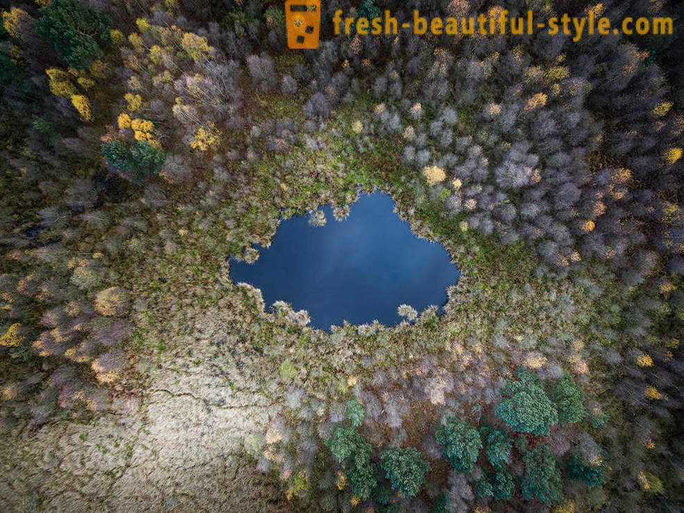 The world from a drone flight