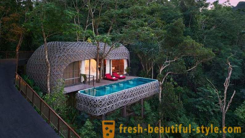 Unusual hotel with rooms on the trees