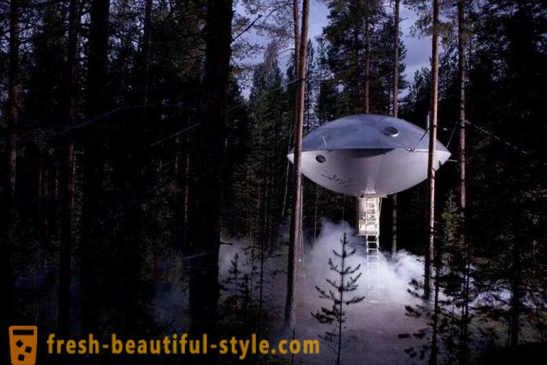 Unusual hotel with rooms on the trees
