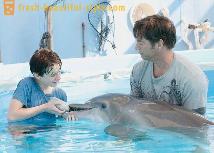 A selection of films about dolphins