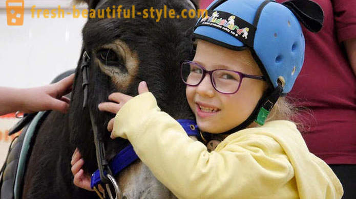 Animal therapy: a mute girl began to speak through a donkey