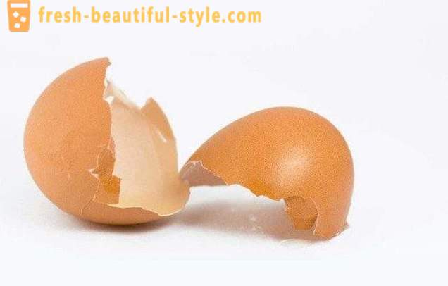 The use of the eggshell at home