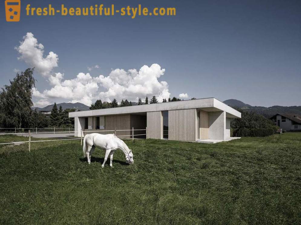 Design of the veterinary clinic for horses in Austria