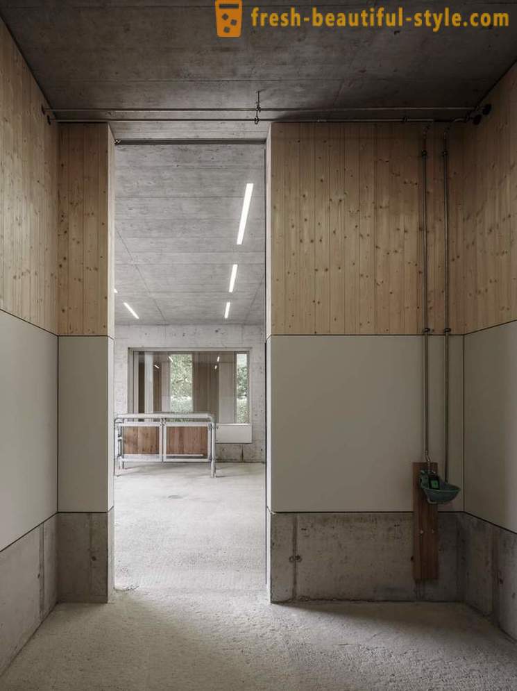Design of the veterinary clinic for horses in Austria