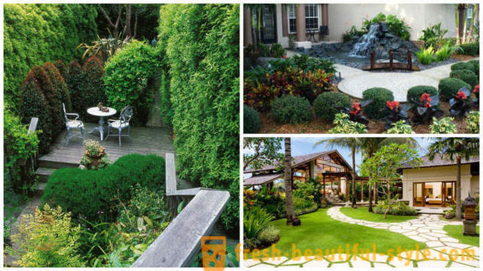 Bright landscape design: 18 original ideas of registration of a garden site
