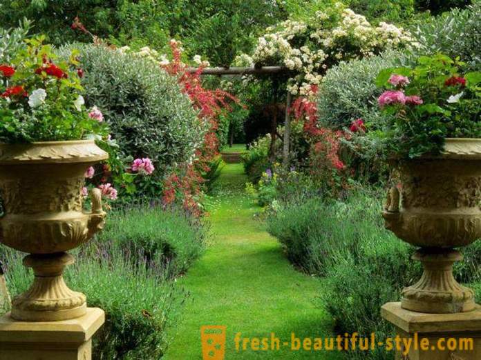 Bright landscape design: 18 original ideas of registration of a garden site