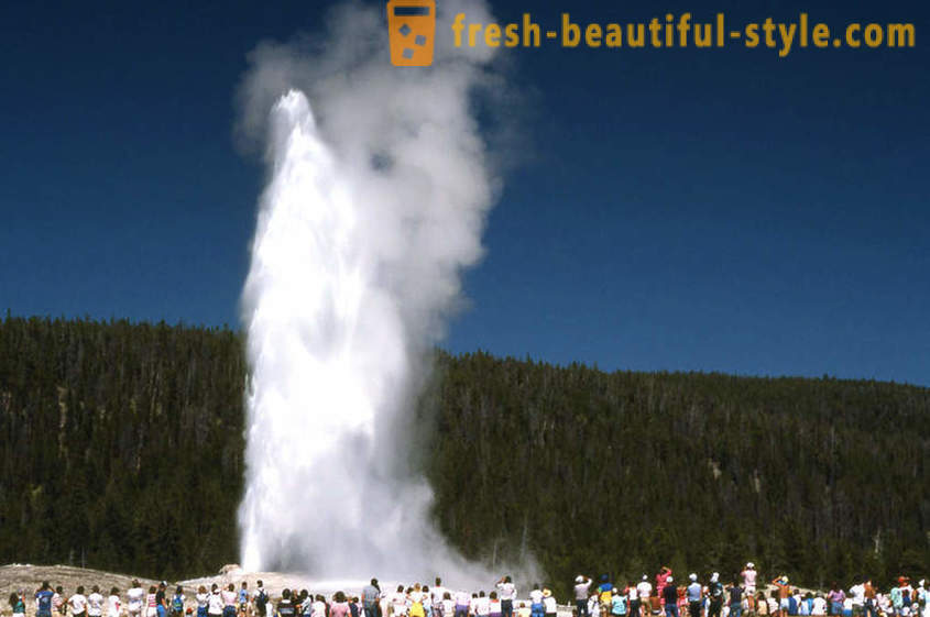 11 geysers, demonstrating the incredible power and strength of the Earth