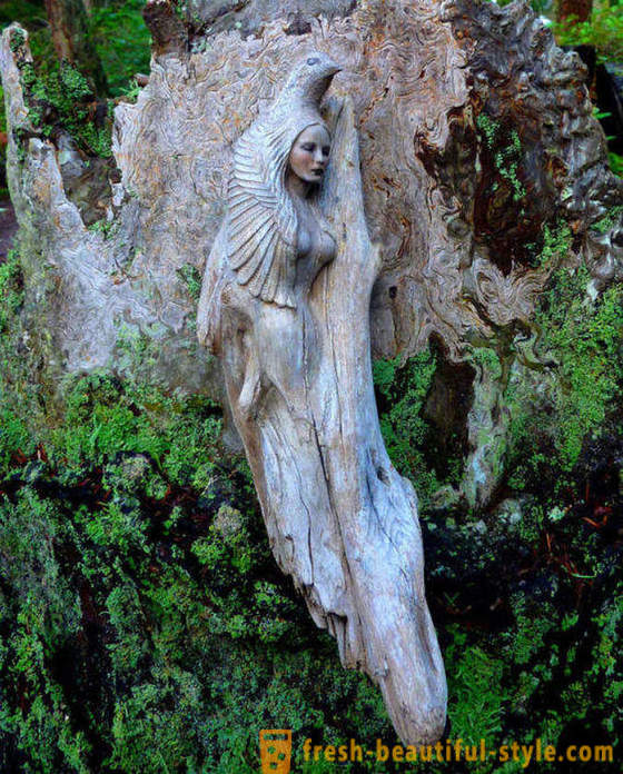 Welcome to the story: stunning sculptures from driftwood, looking at who unwittingly believe in miracles and magic