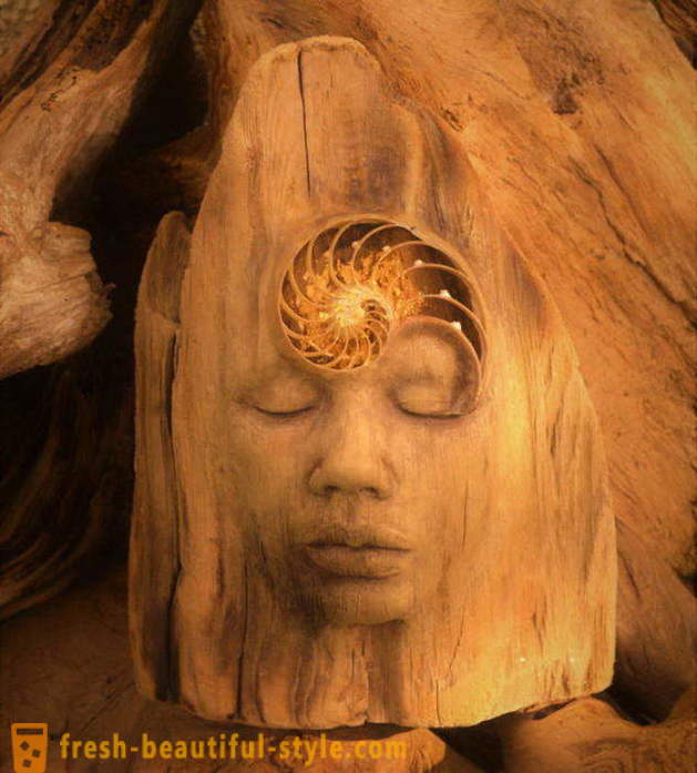 Welcome to the story: stunning sculptures from driftwood, looking at who unwittingly believe in miracles and magic