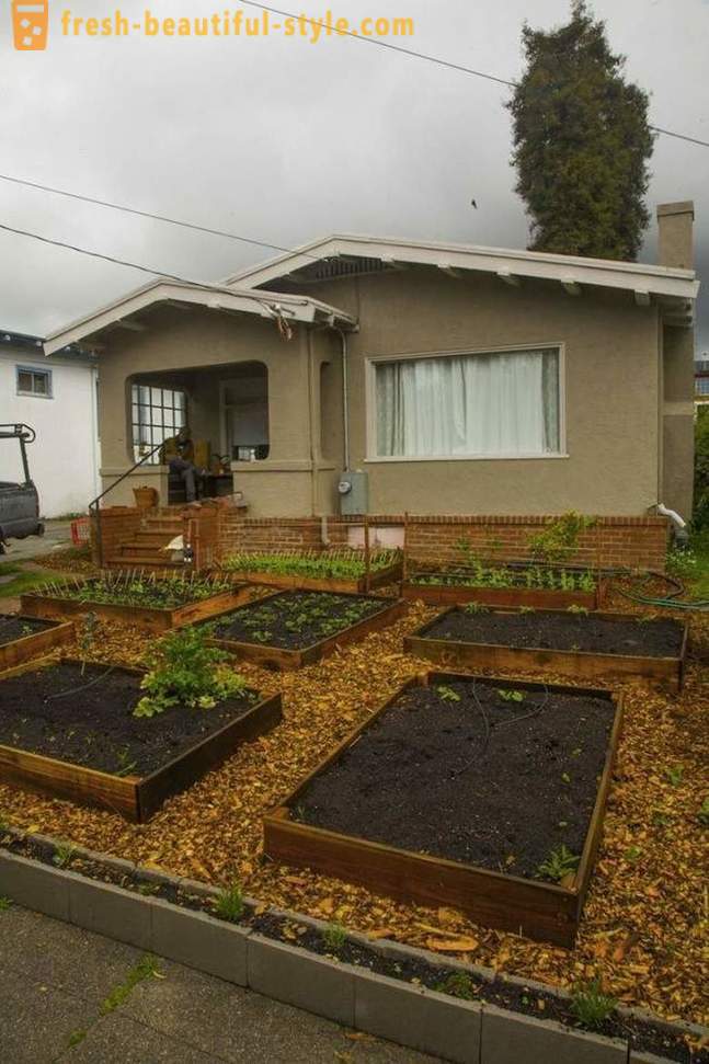 In just 60 days this guy raised a cool garden in front of house
