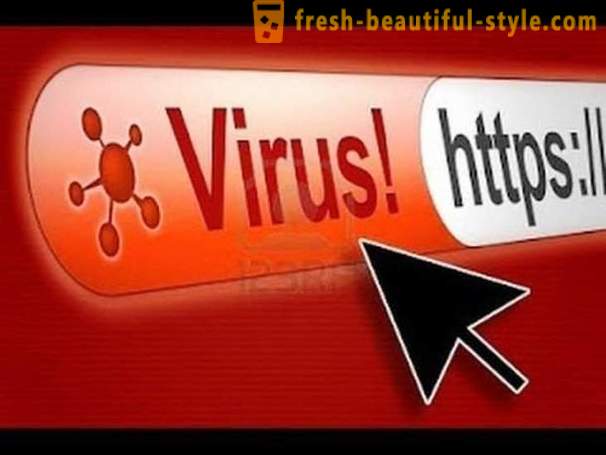Interesting facts about computer viruses, you should know
