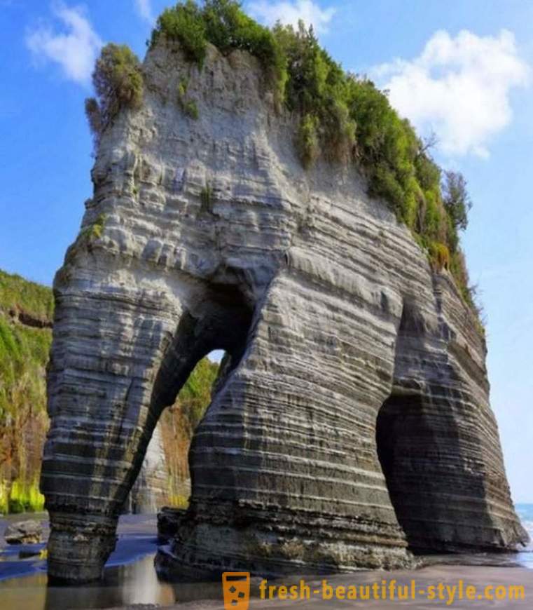 Strange and unusual attractions in New Zealand