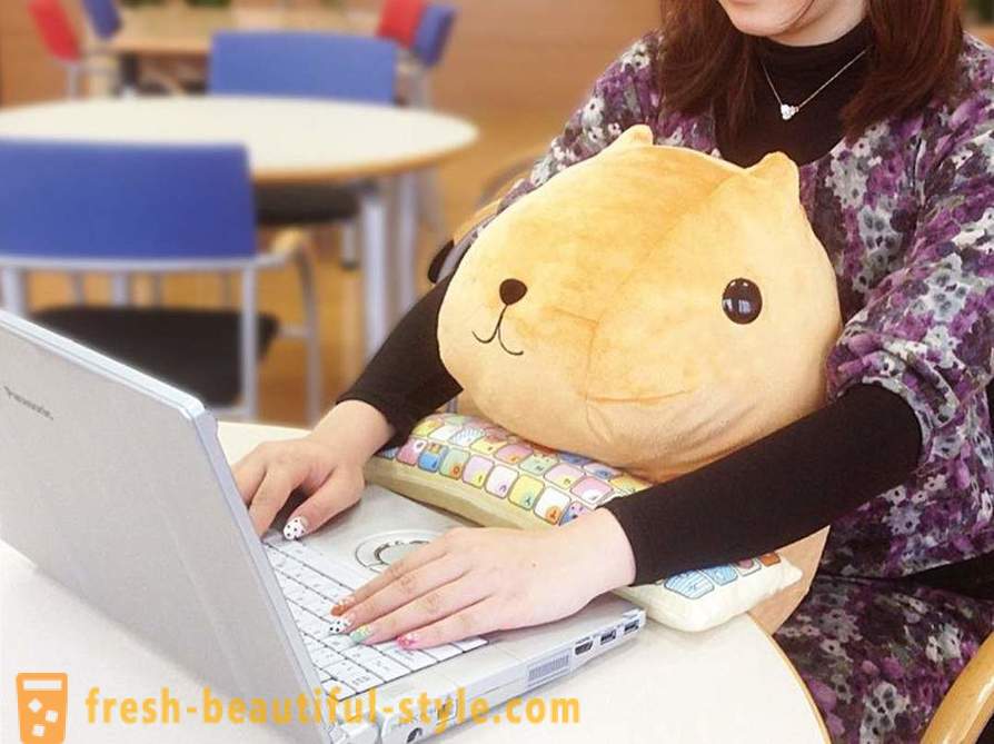 Pillows for the healthy functioning of the computer - the new hit Japanese offices