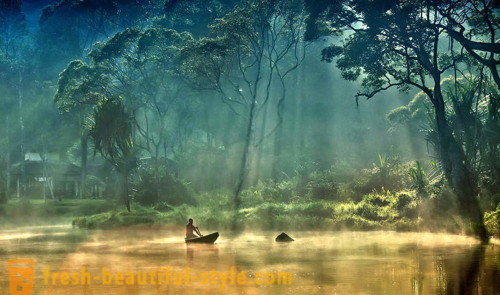 Amazon - natural wonder of the world