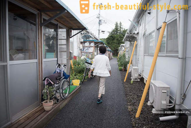 How does Fukushima after almost 5 years after the accident