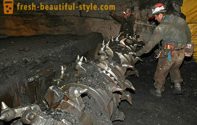 Coal - ancient underground plant