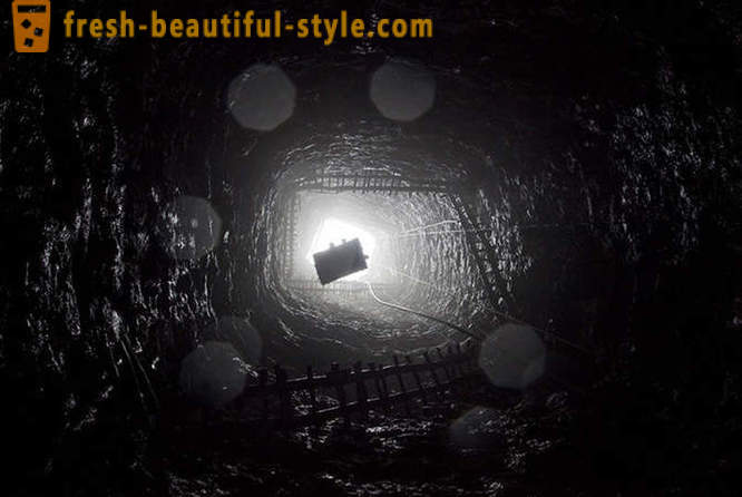 Coal - ancient underground plant