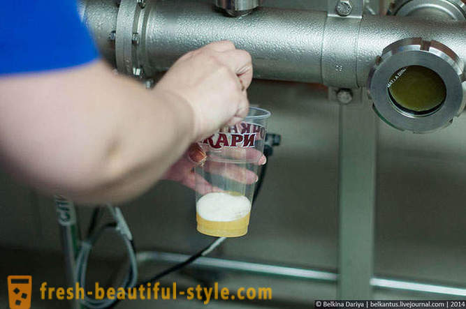 How to make beer in the Altai Territory